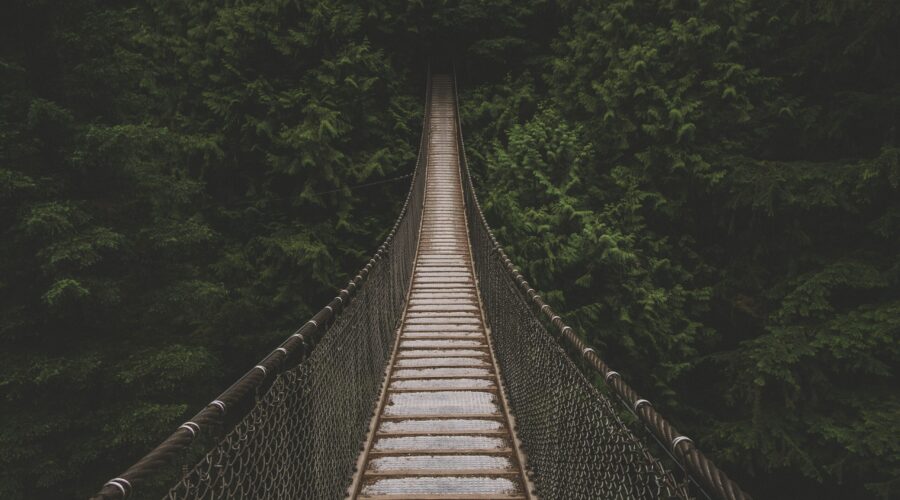 Bridge